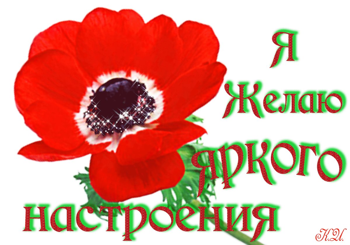 Удачи и хорошего настроения