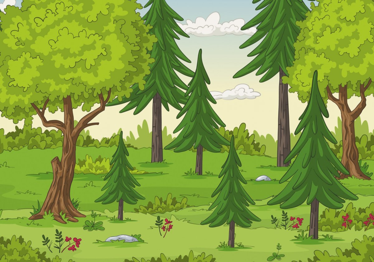 Ландшафт леса рисунок