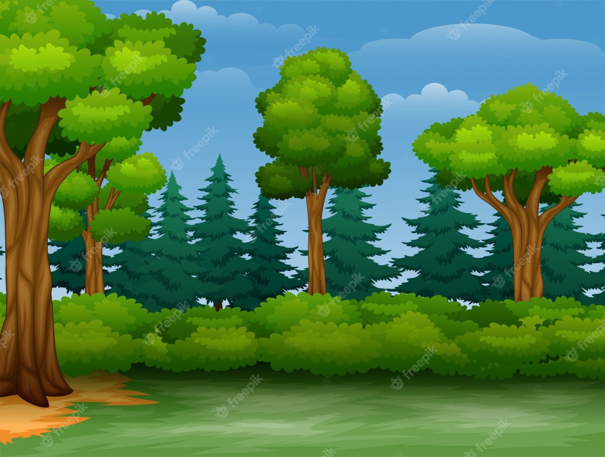 Мультяшный вид деревьев в лесу