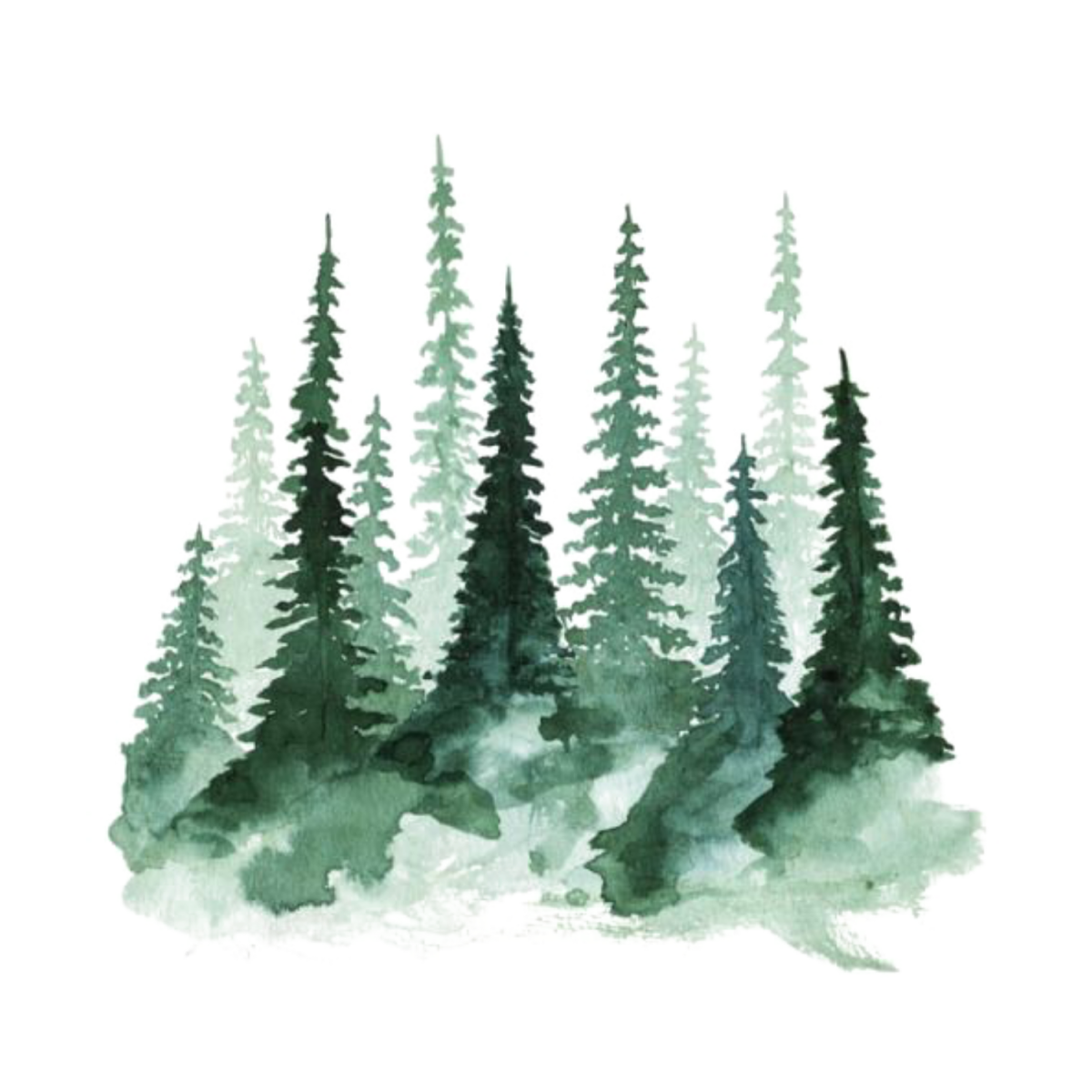 Лес акварелью