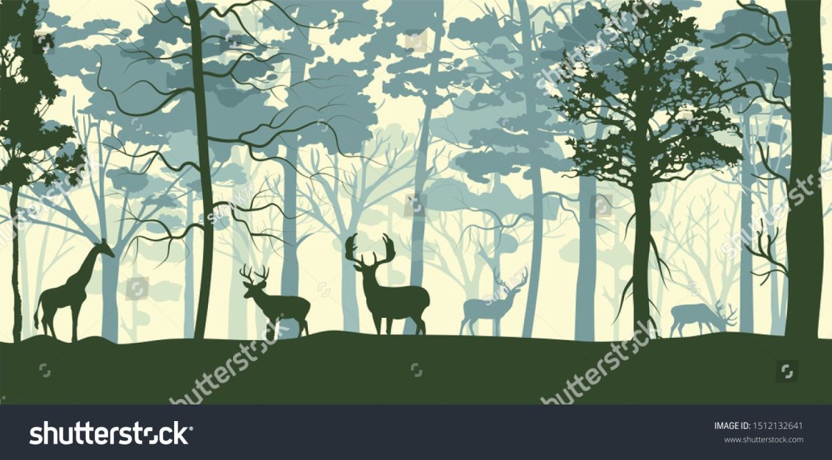 Пейзаж с силуэтом дерева