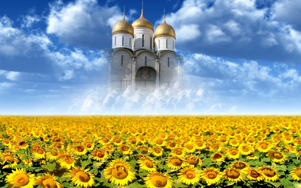 Храм и поле подсолнухов