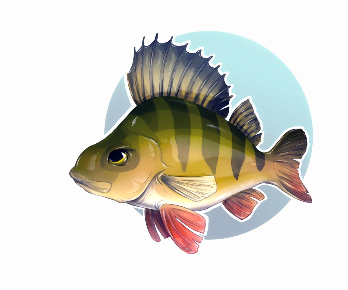 Речная рыба вектор