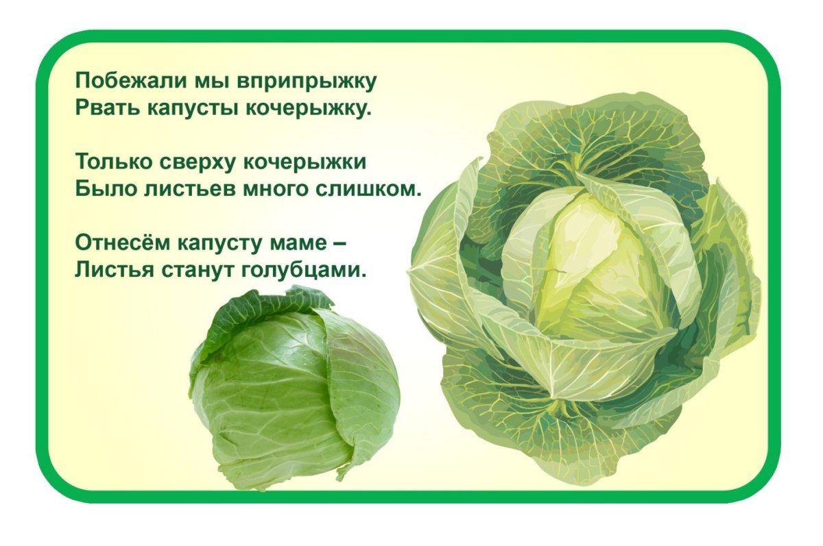 Капустный лист