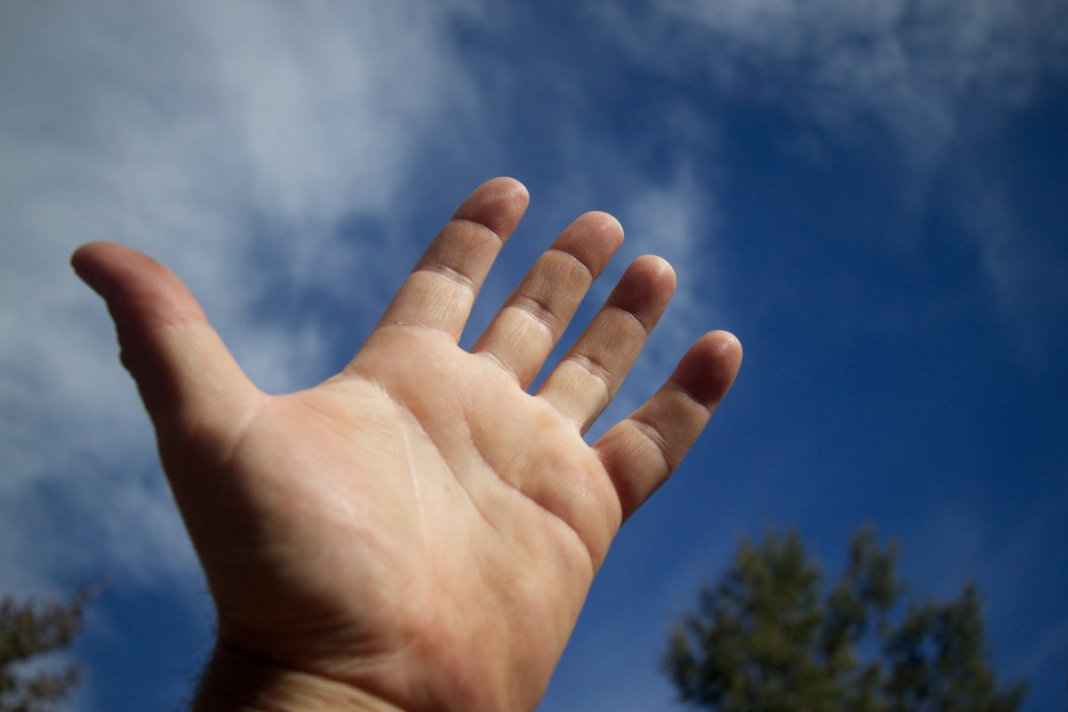 Человеческая рука