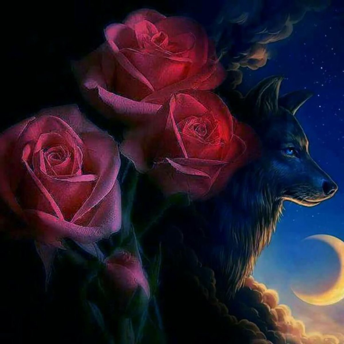 Черный волк и роза