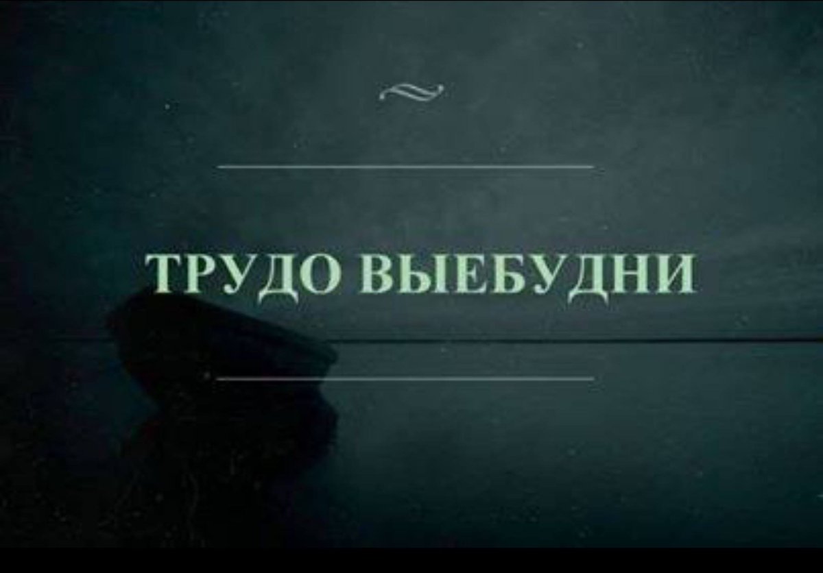 И снова Тоудо выебудни