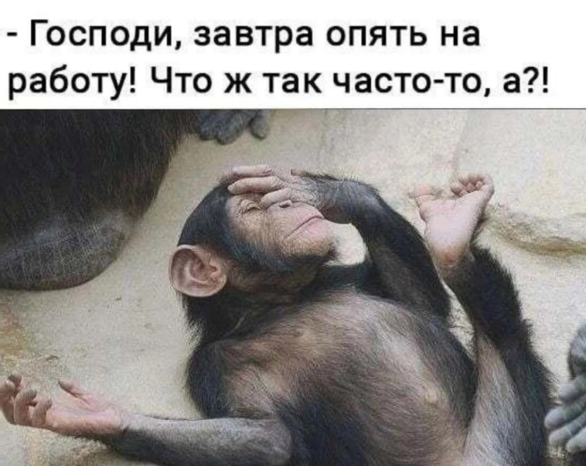Опять на работу что ж так часто