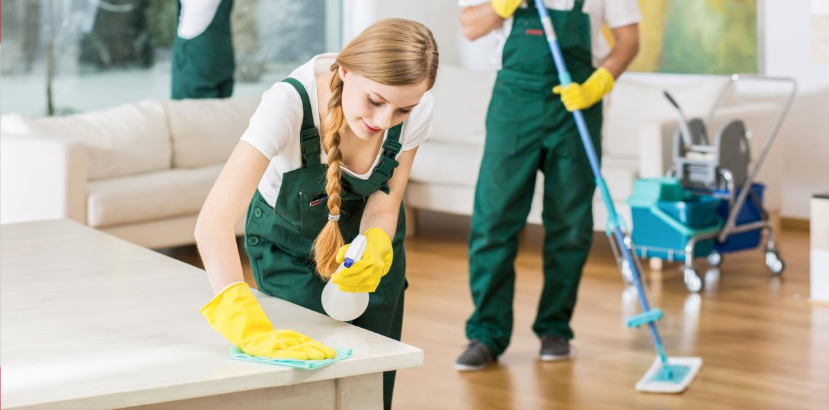 Мастер чистоты