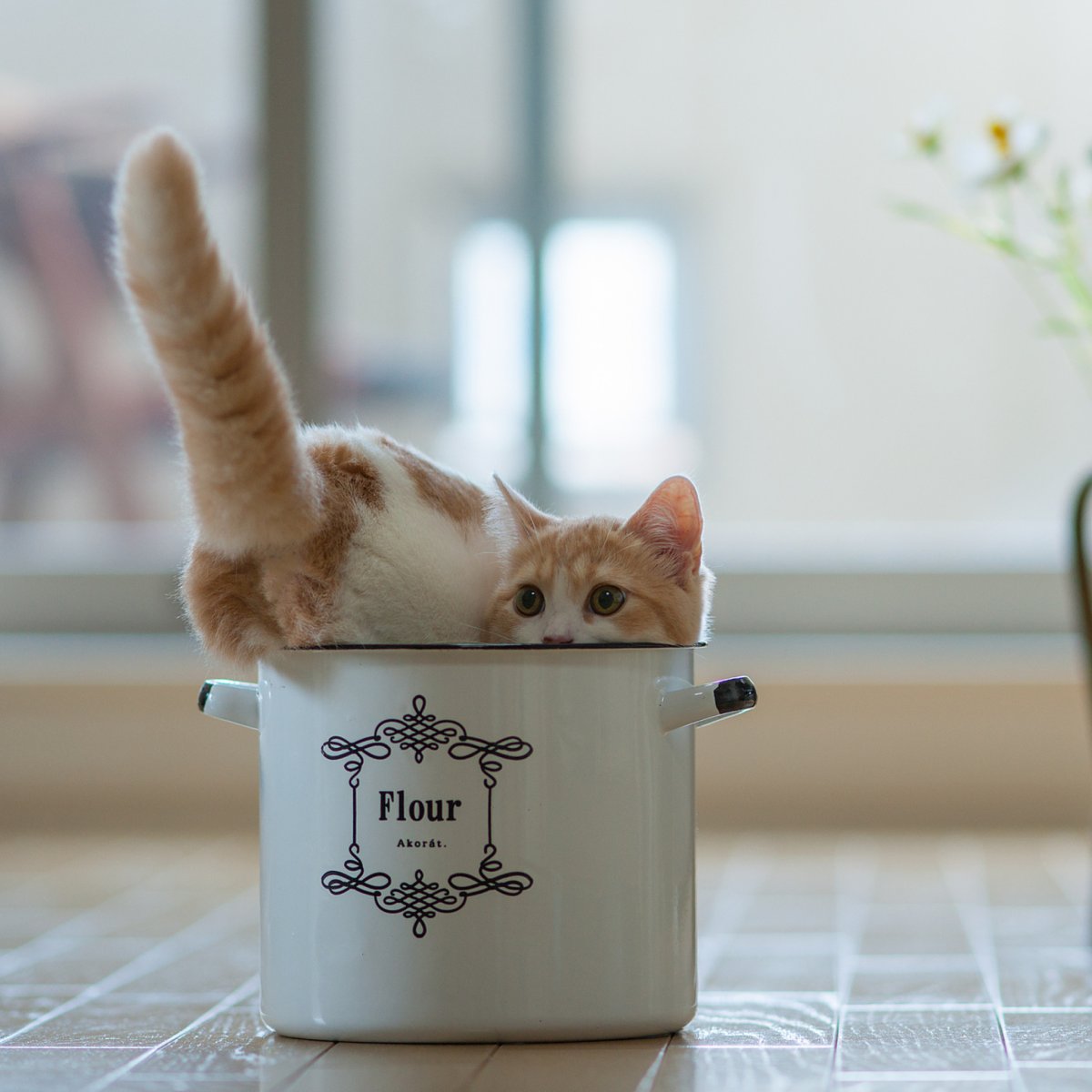 Зверек с клубникой