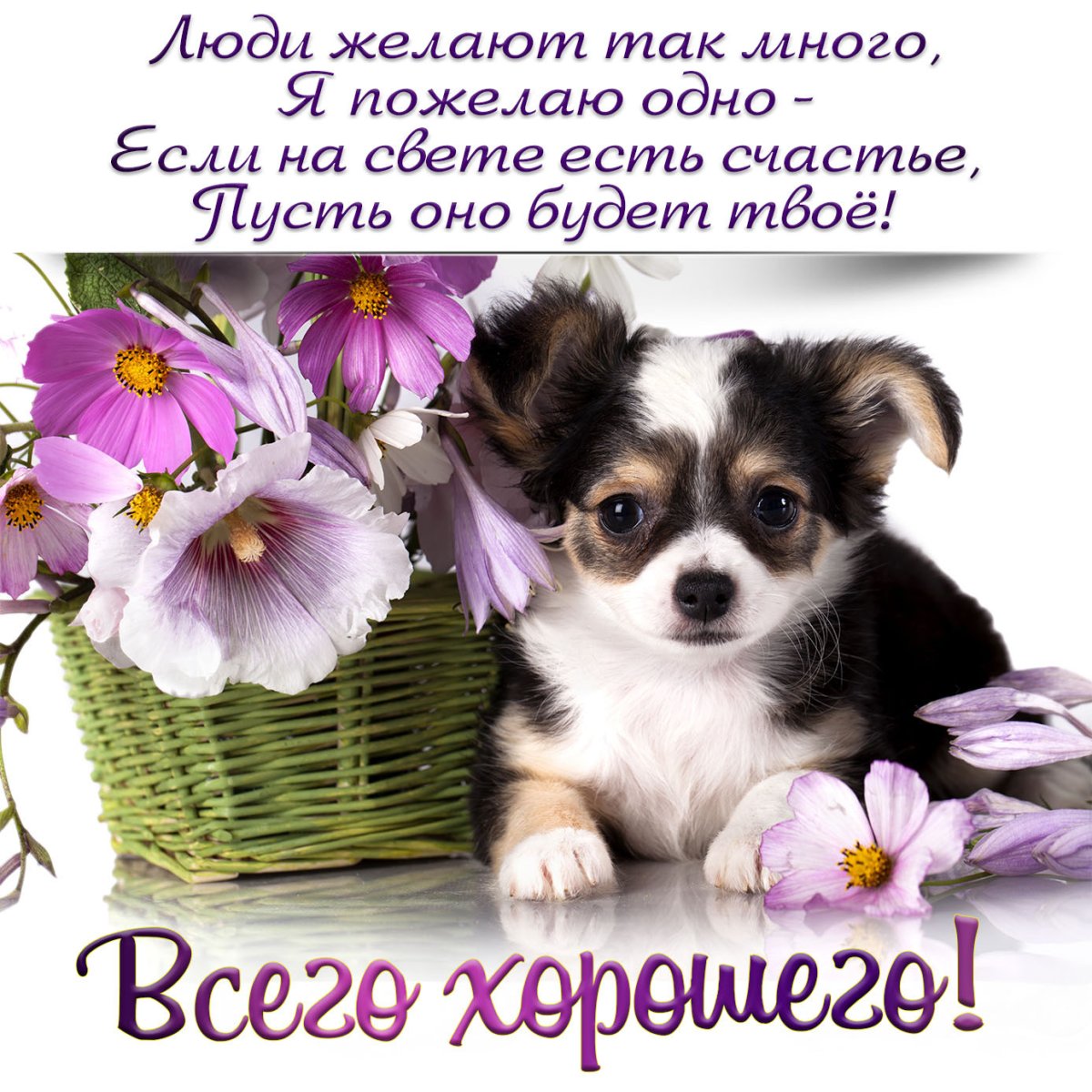 Милые открытки с добрым утром