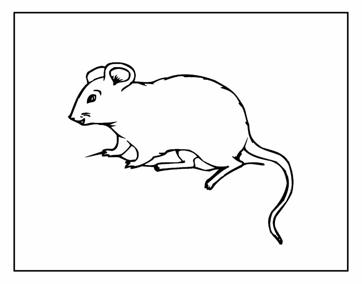 Мышь раскраска