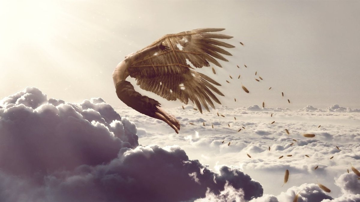 Человек с крыльями птицы