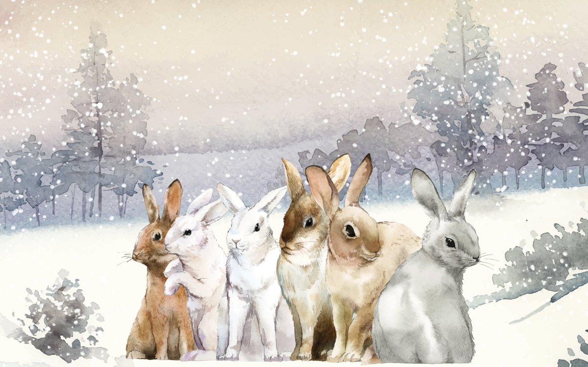Зайчик зимой