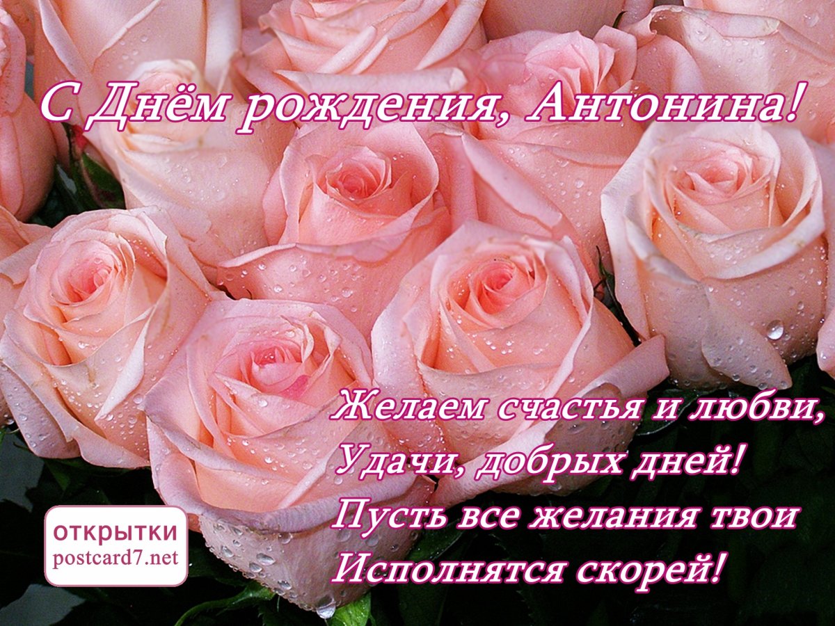 С днем ангела Антонина