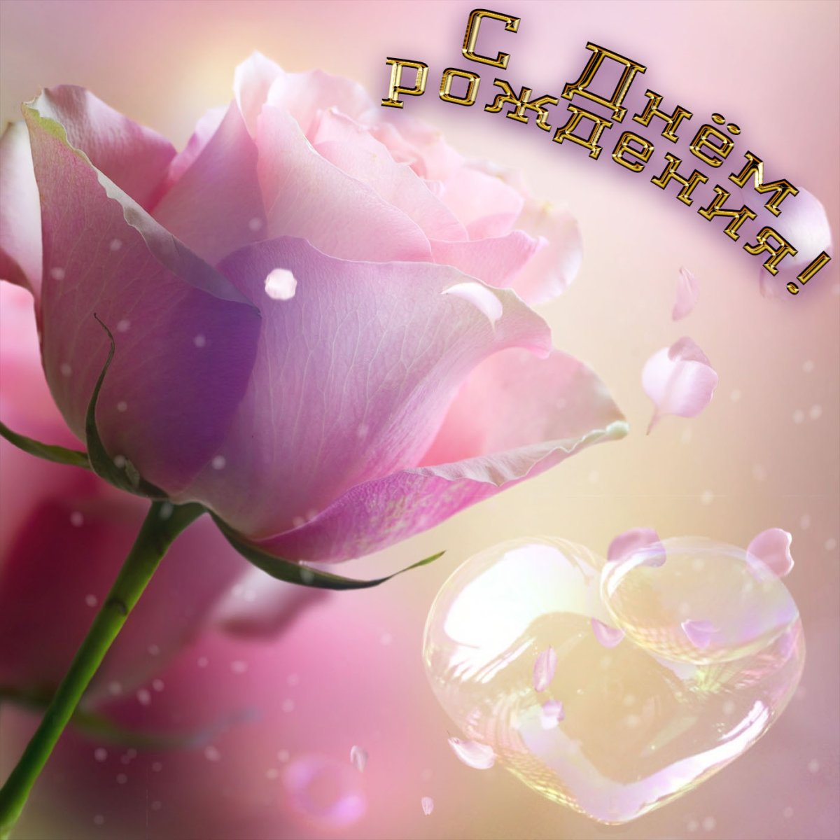 Цветы для Антонины