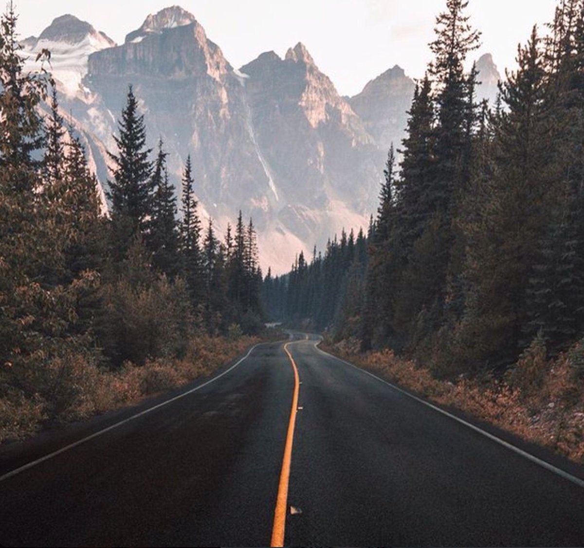 Дорога лес горы