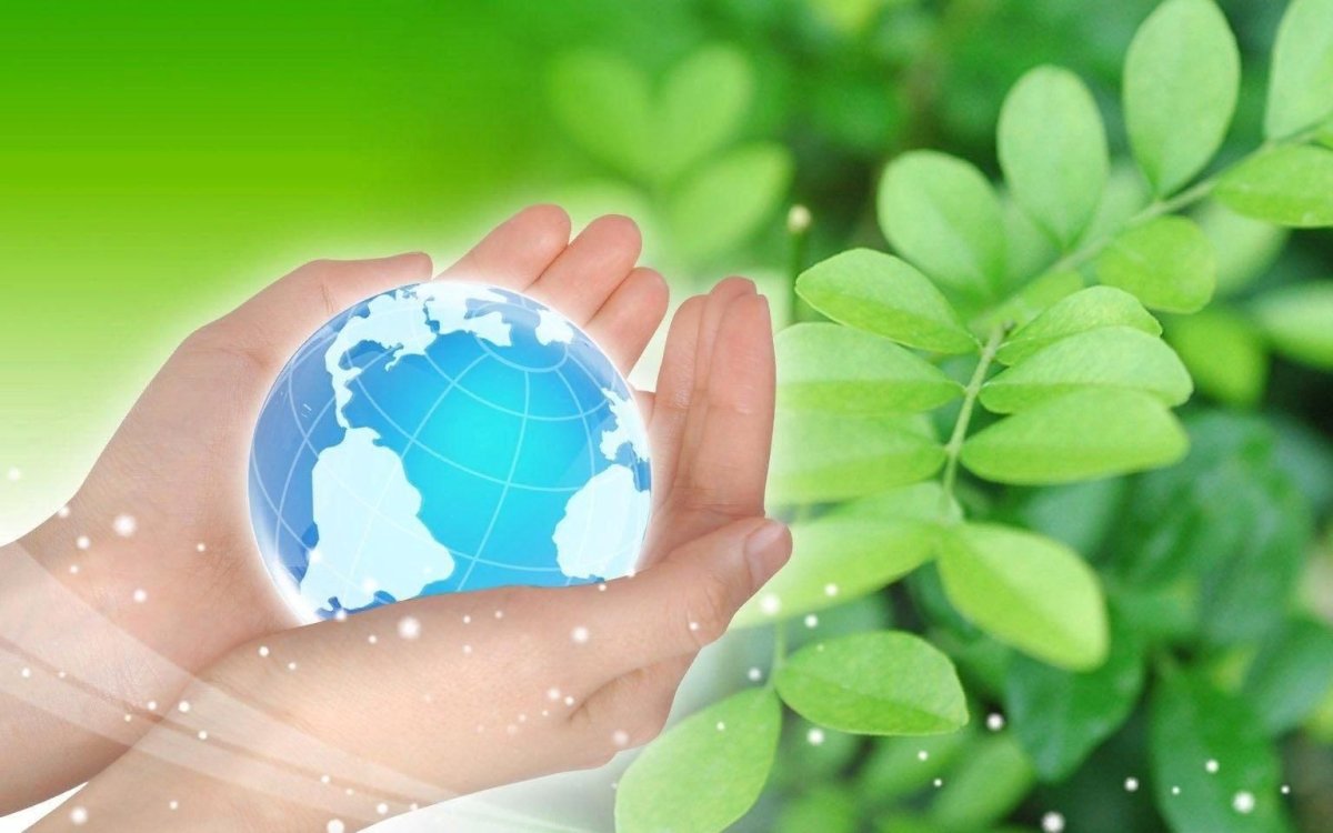 Чистый воздух дети