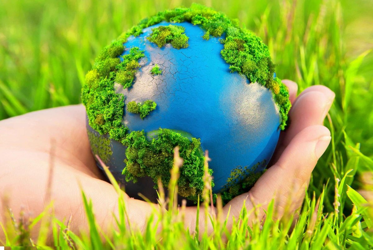 Природа экология