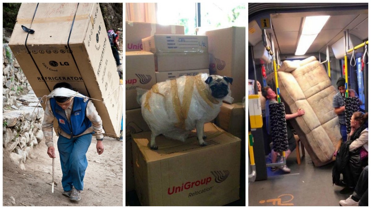 Грузчики смешные фото