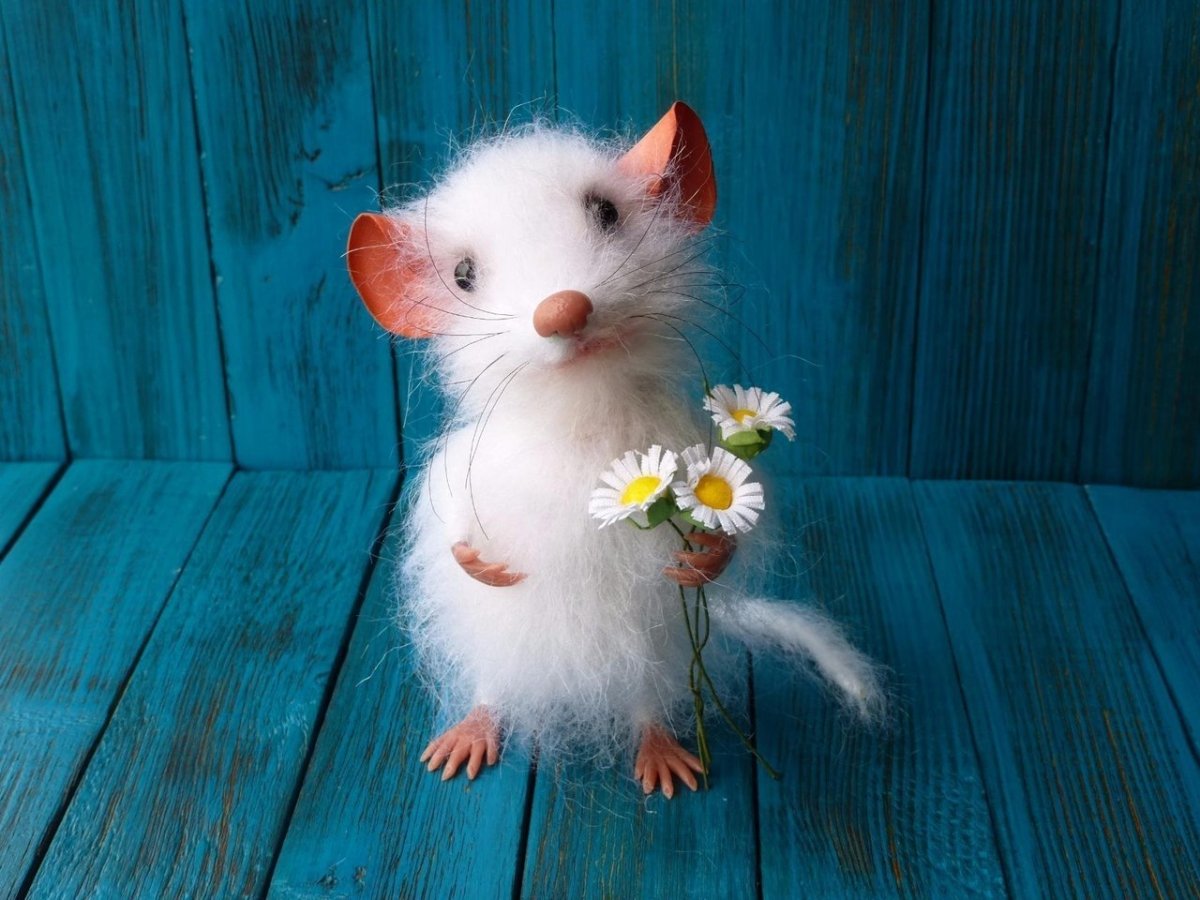 Добрая крыса