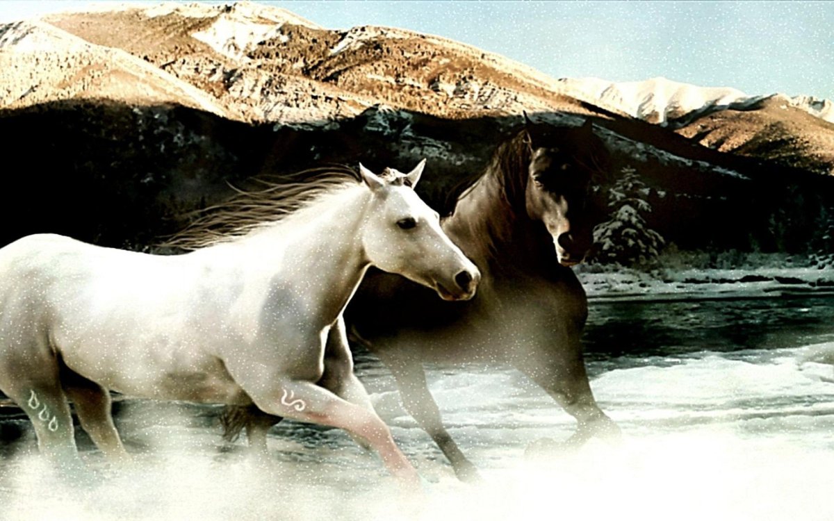 Белая лошадь