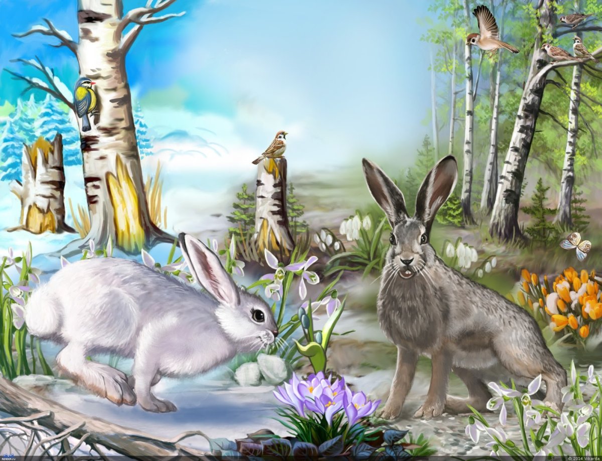 Новогодний зайчик