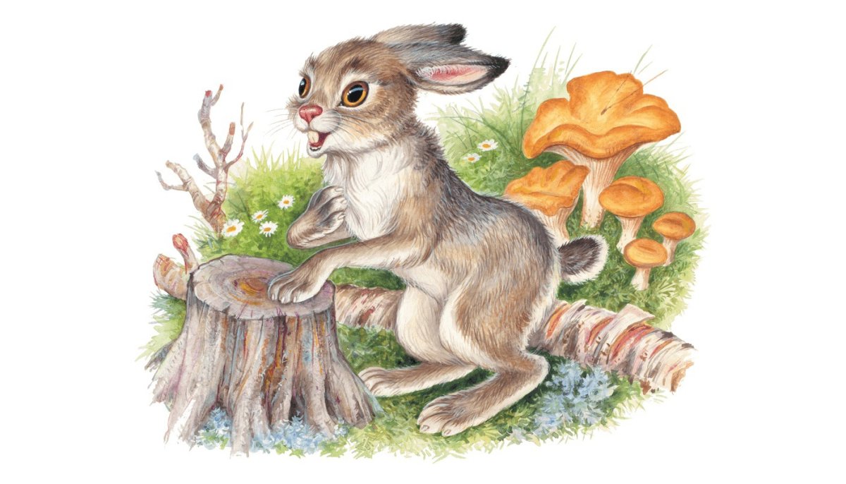 Беатрис Поттер кролик Питер один