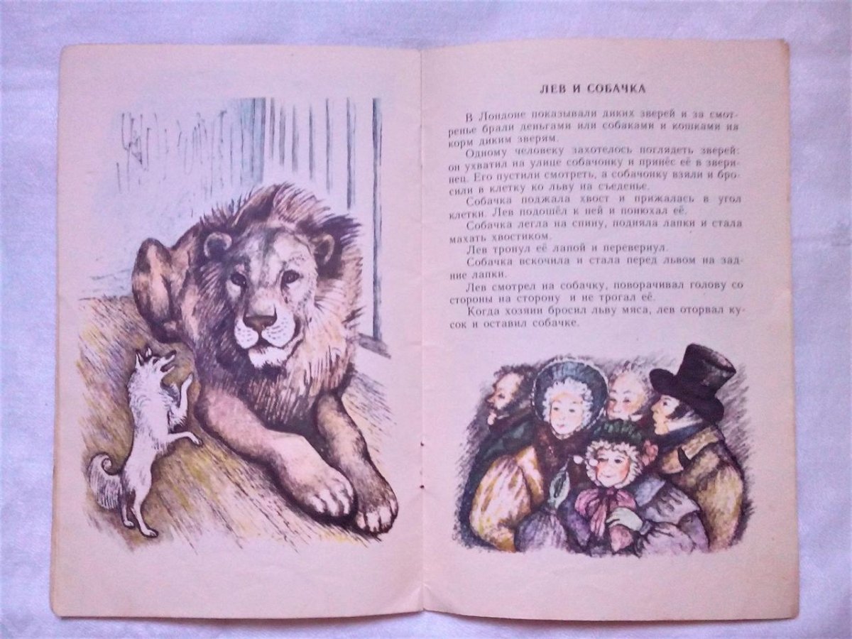 Михалков как медведь трубку нашел