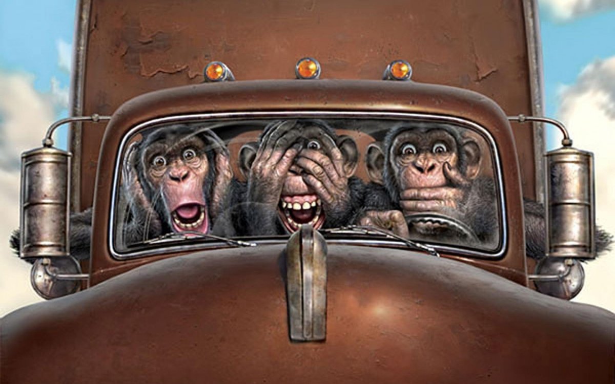 Обезьяна за рулем