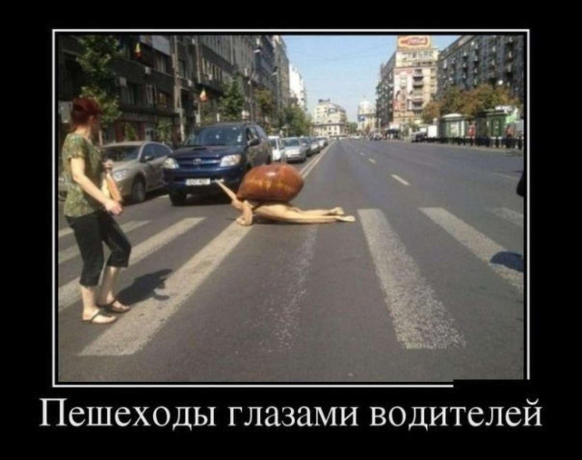 Приколы про водителей