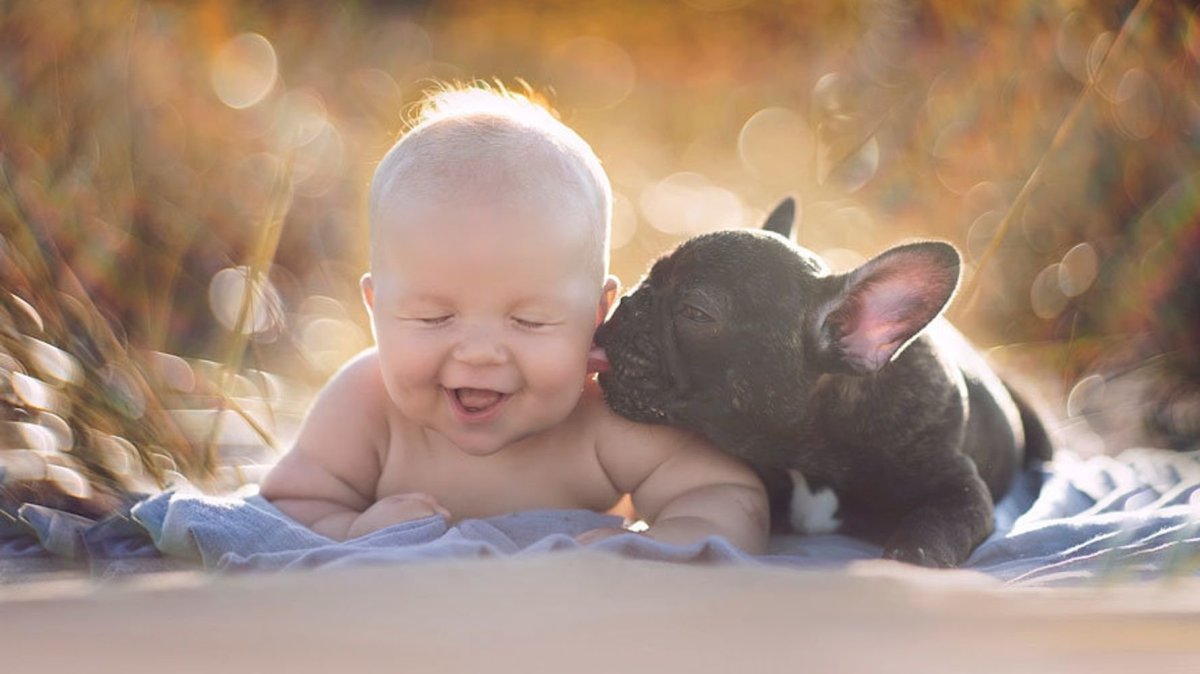 Для детей. Животные