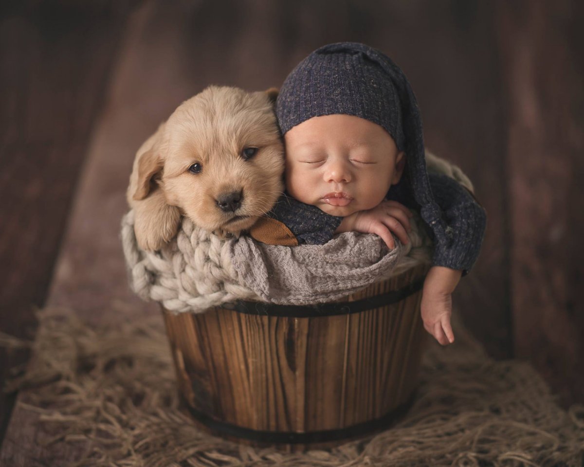 Собака и младенец