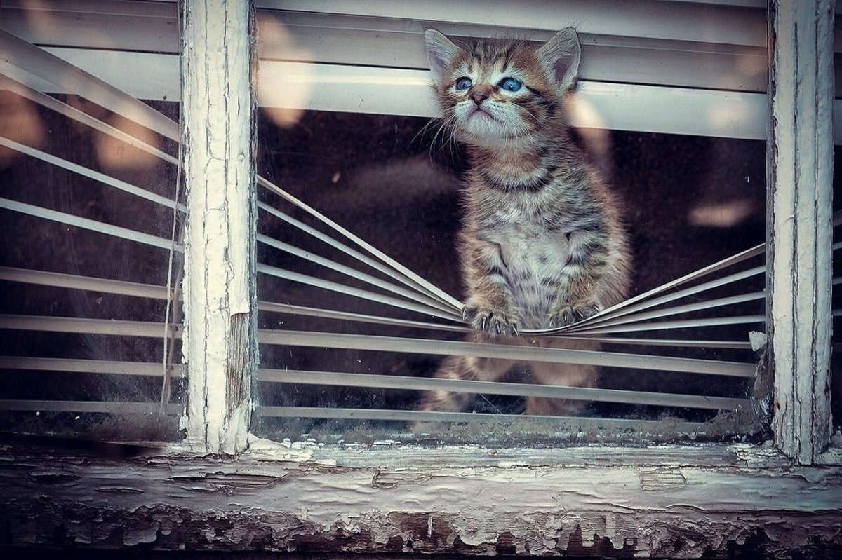 Первое свидание