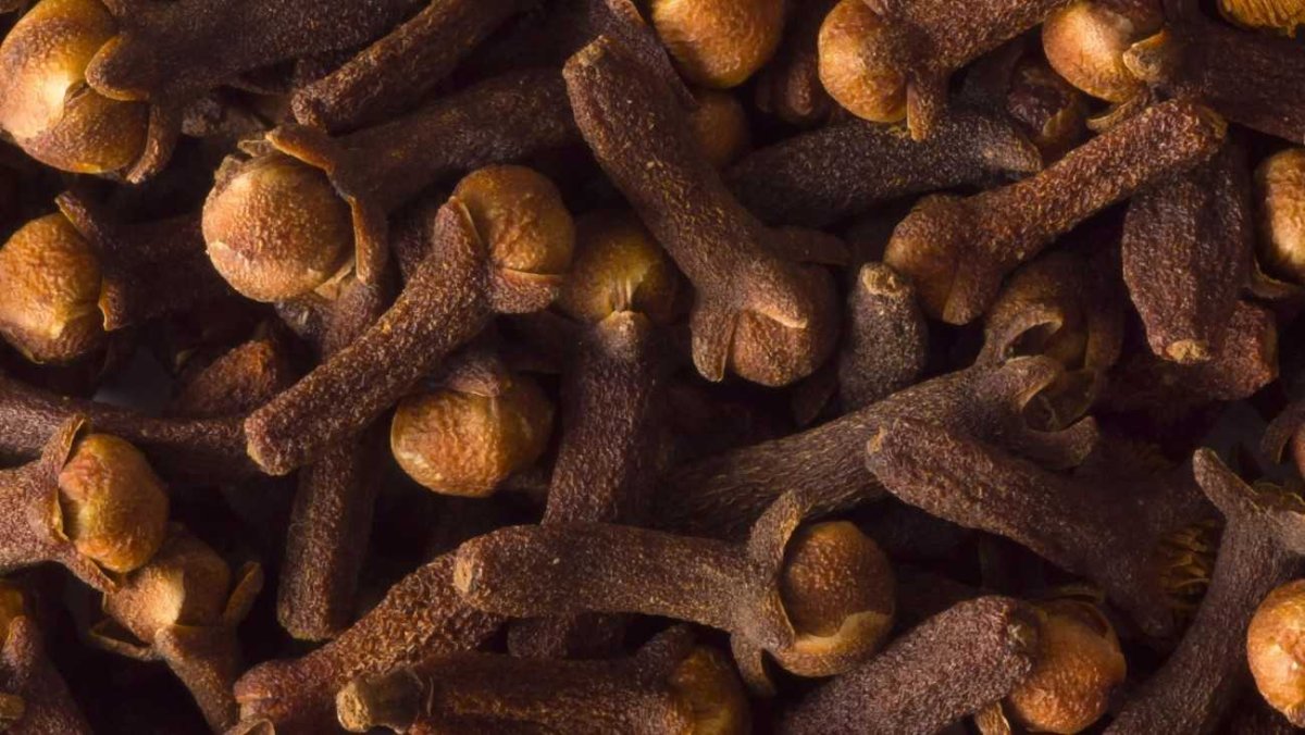 Гвоздика приправа