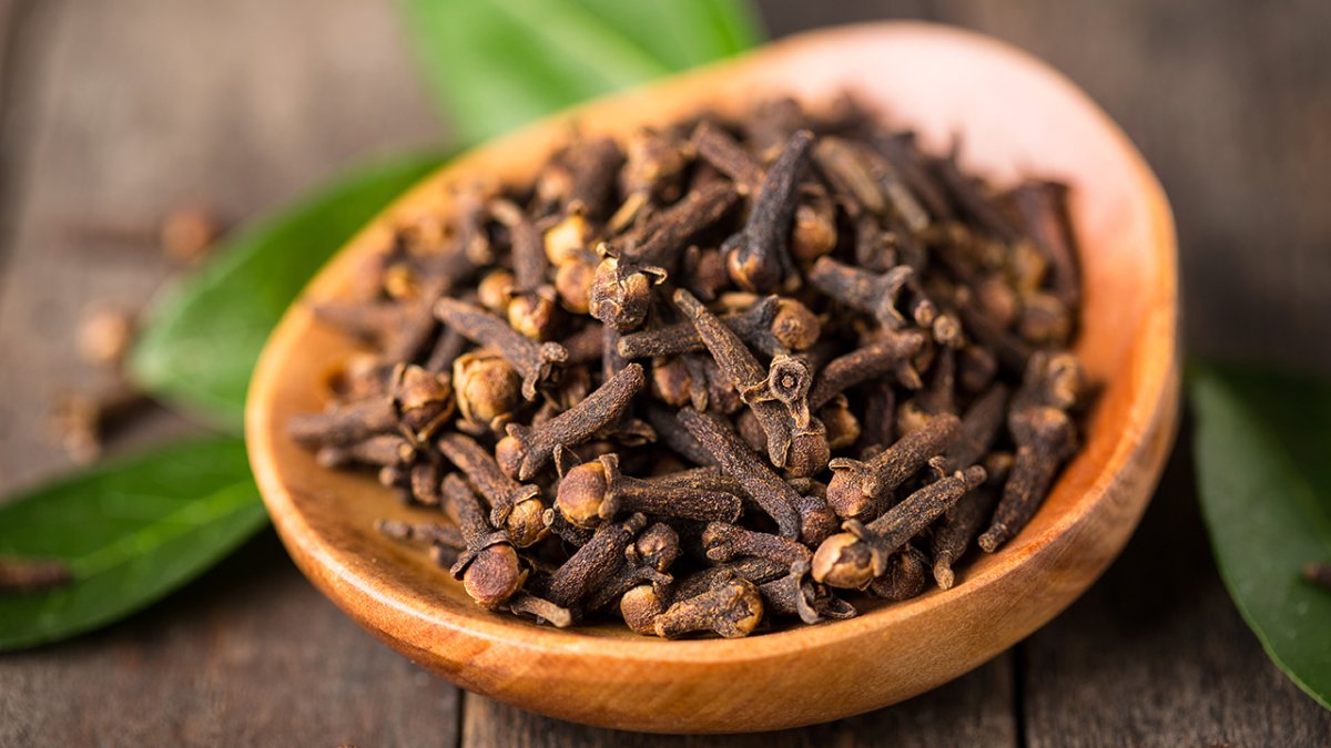 Гвоздика специя