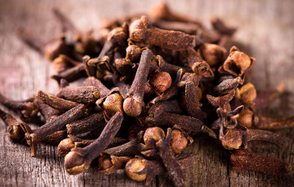 Гвоздика пряность