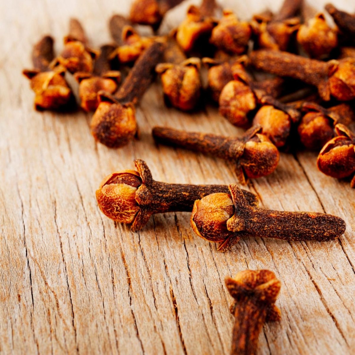 Гвоздика специя
