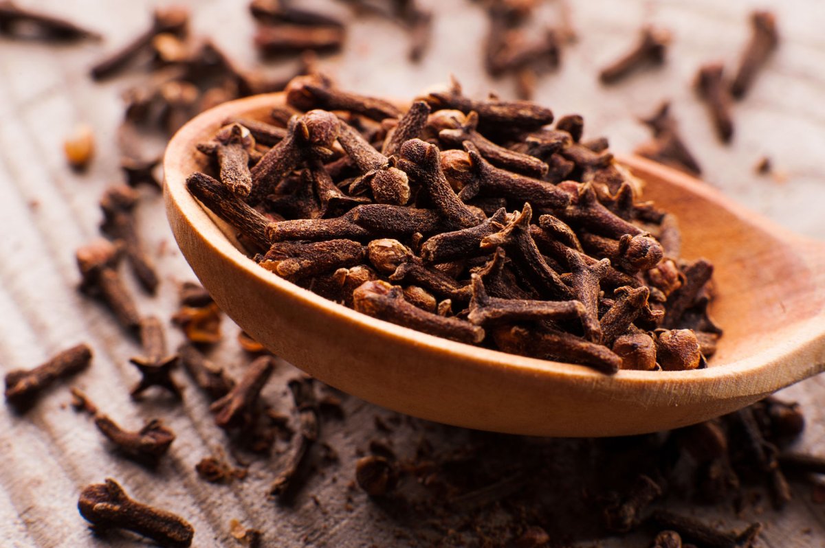 Гвоздика плодоножка специя