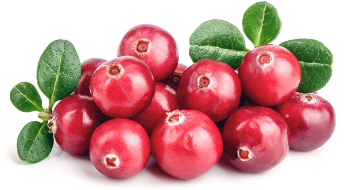 Белая клюква