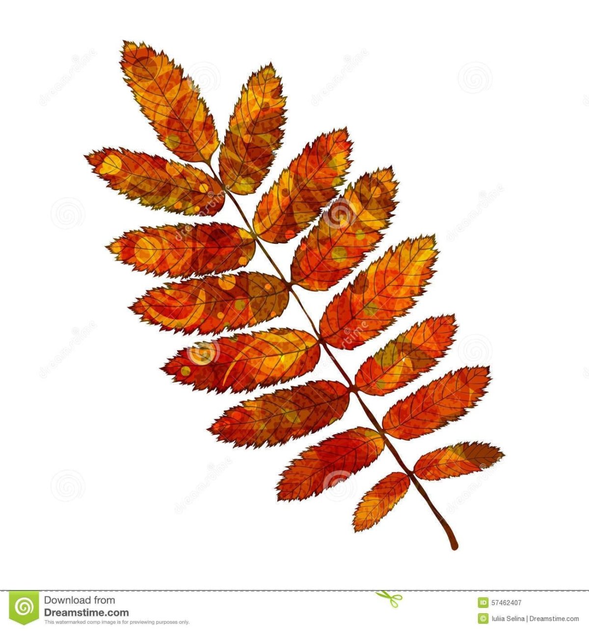 Лист рябины