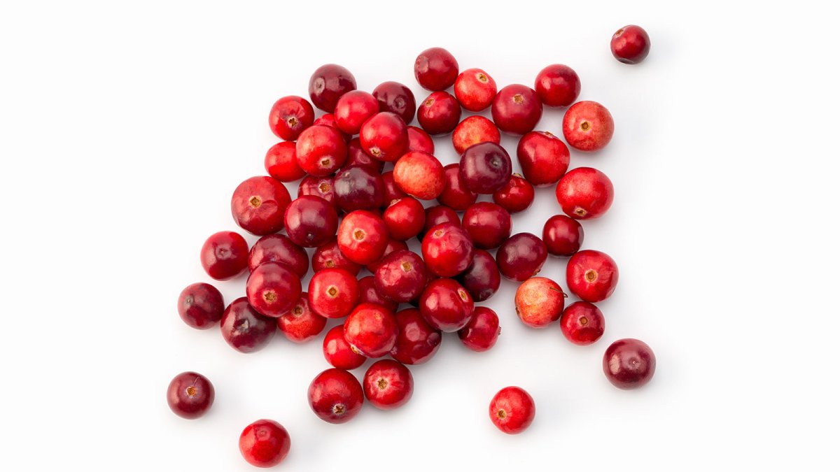 Толокнянка обыкновенная Фармакогнозия