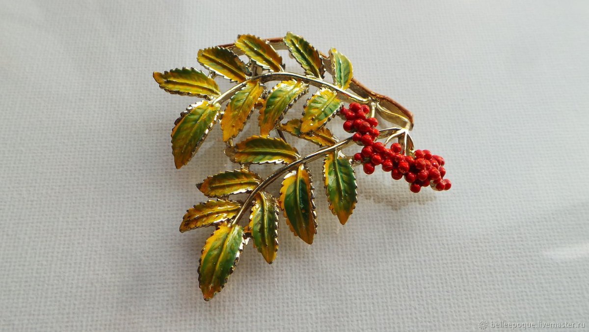 Рябина обыкновенная 'Aspleniifolia'