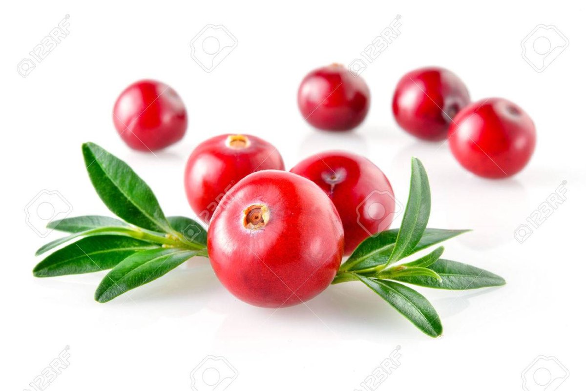 Листочки клюквы