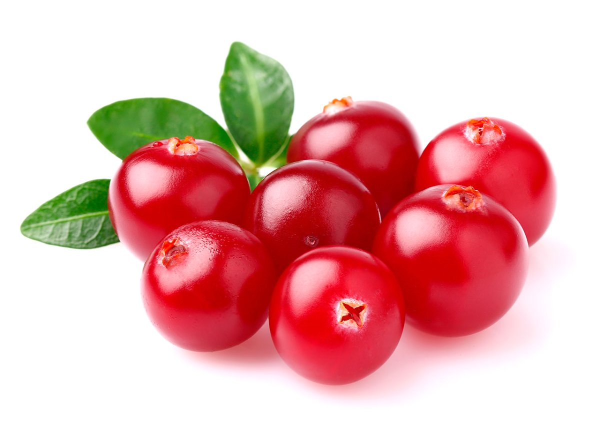 Cowberry брусника