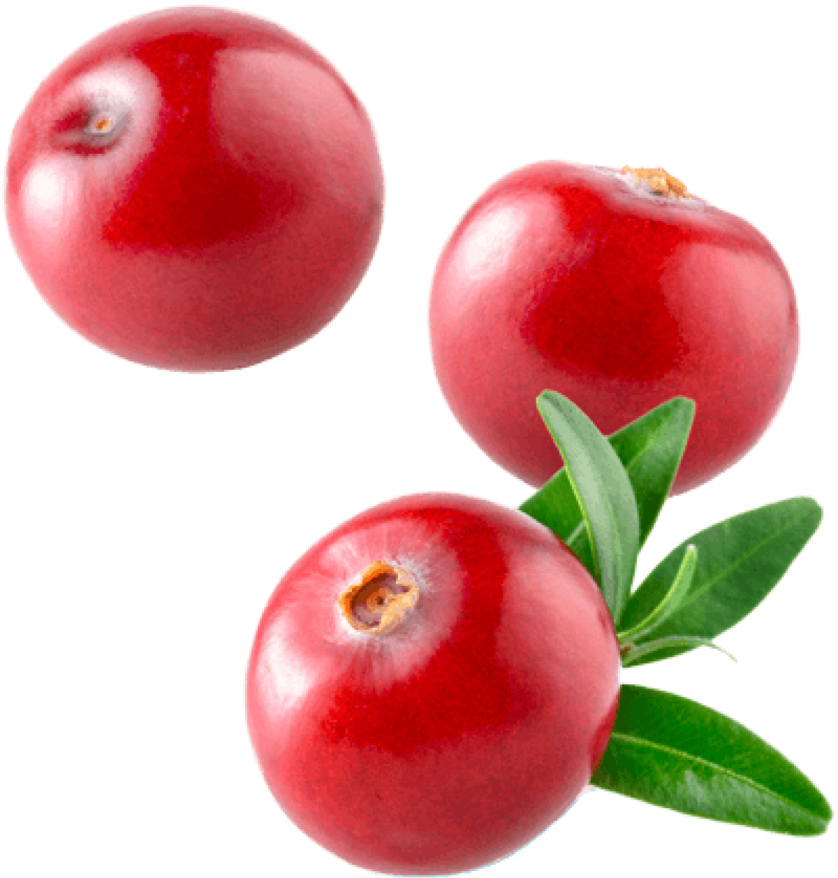 Красные ягоды