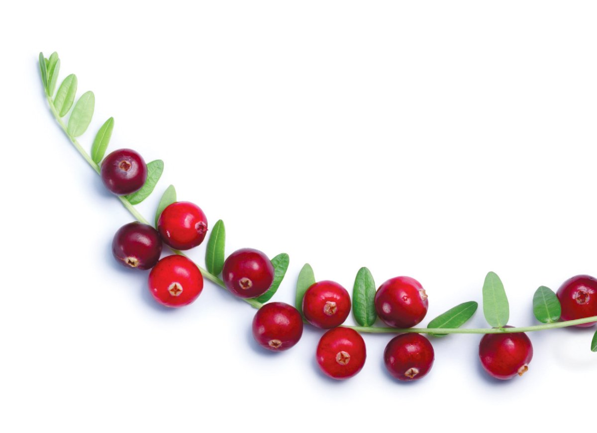 Этикетка брусника