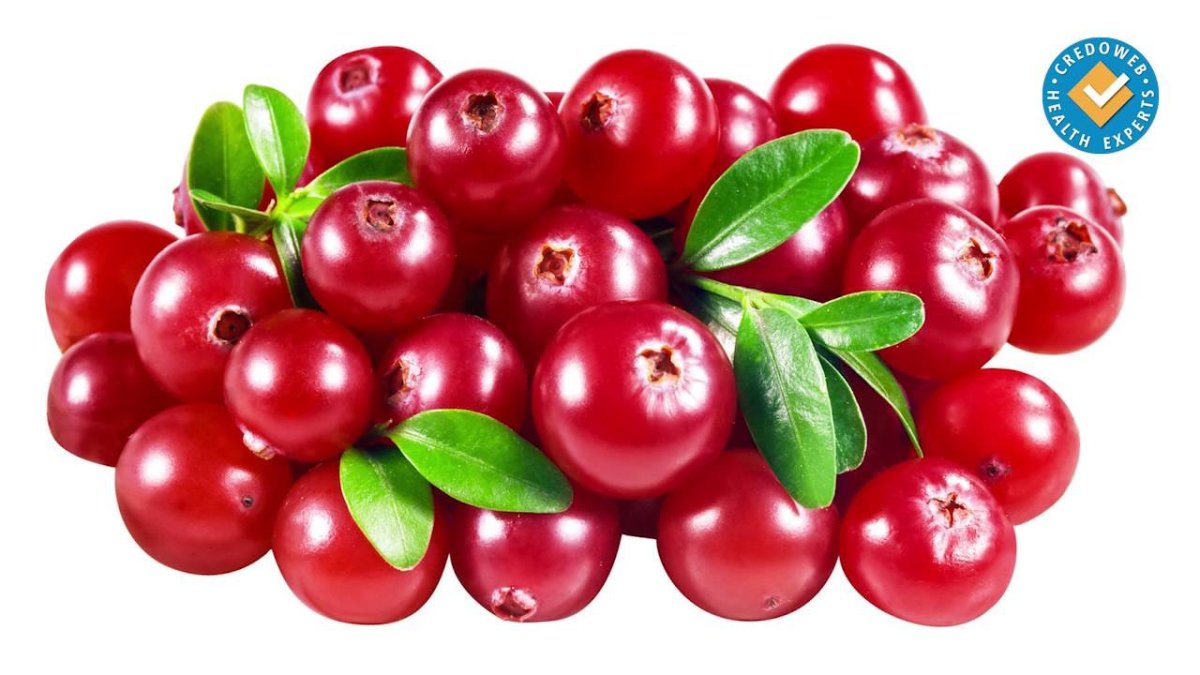 Клюква на белом фоне