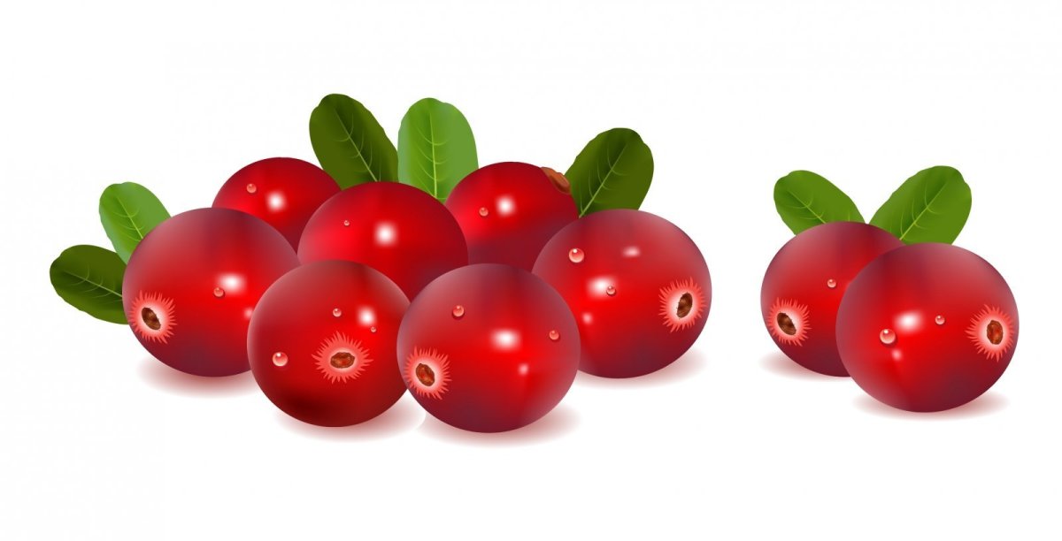 Брусника ягода