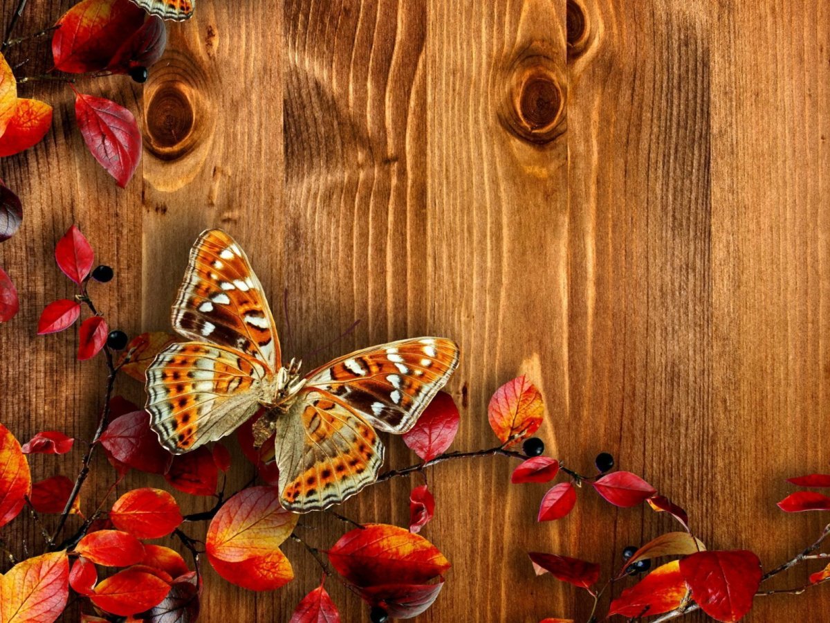 Фон на телефон красивые